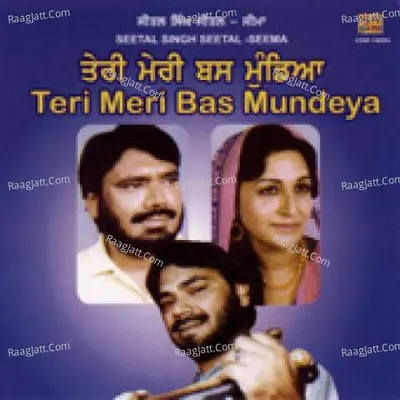 Teri Meri Bas Mundey Poster