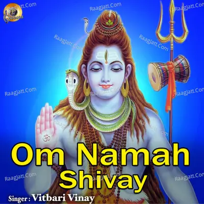 Om Namah Shivay Cover