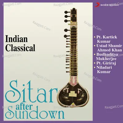 Sitar After Sundown Poster