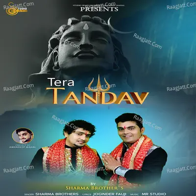 Tera Tandav Cover