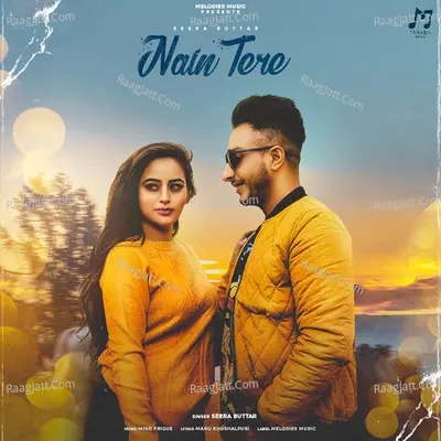 Nain Tere Cover