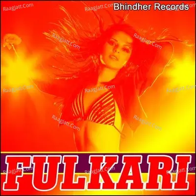 Fulkari Poster