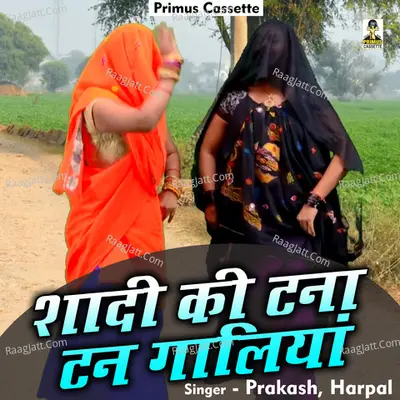 Shadi Ki Namkeen Galiyan Cover