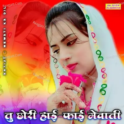 Tu Chori Hi Fi Mewati Poster