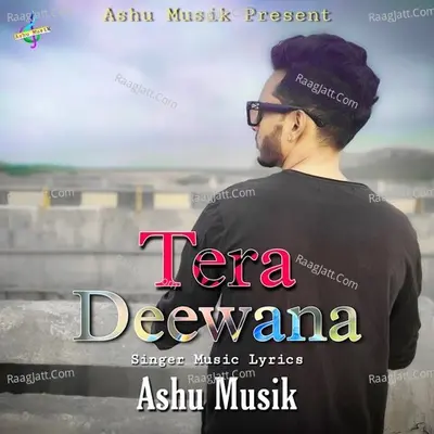 Tera Deewana Cover