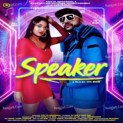 Speaker Cover