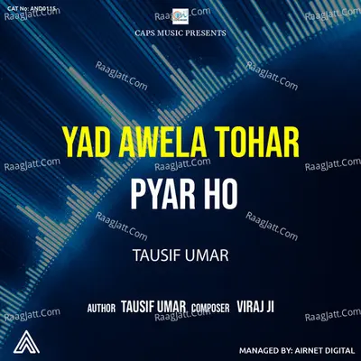 Tausif Umar Image