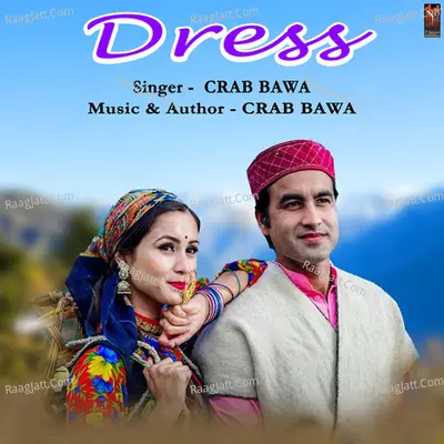 Dress Cover
