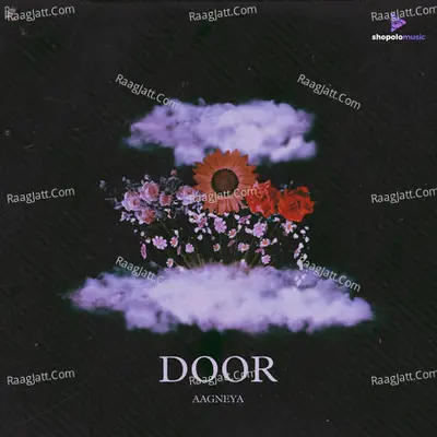 Door Cover