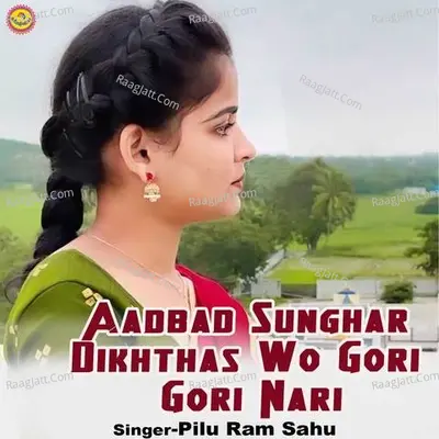Aadbad Sunghar Dikhthas Wo Gori Gori Nari Cover