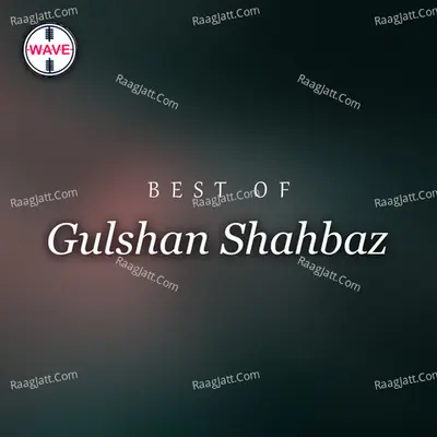Best Of Gulshan Shahbaz Poster