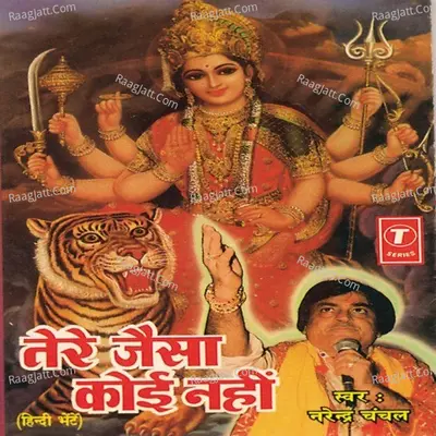 Tere Jaisa Koi Nahin - Narendra Chanchal