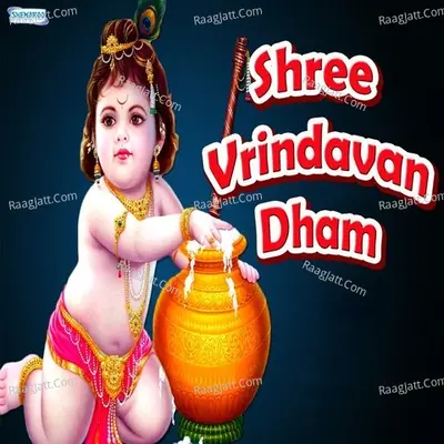 Shree Vrindavan Dham - Miten Chhadva