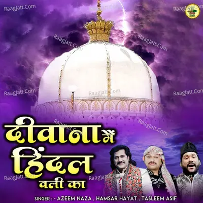 Deewana Main Hindal Wali Ka Cover