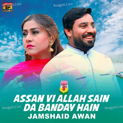 Jamshaid Awan Image