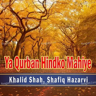 Ya Qurban Hindko Mahiye Cover