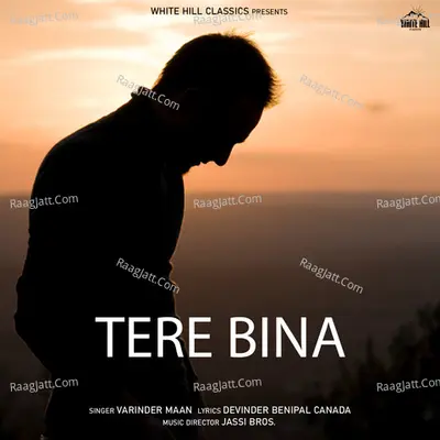 Tere Bina (Blue Without You) Cover