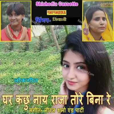 Ghar Kuchh Nay Raja Tere Bina Re