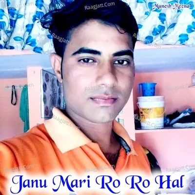 Janu Mari Ro Ro Hal Cover