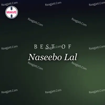 Best Of Naseebo Lal - Naseebo Lal