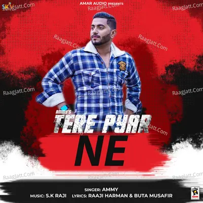Tere Pyar Ne Cover