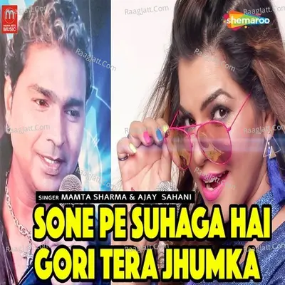 Ajay Sahani Image
