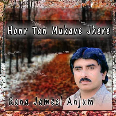 Rana Jameel Anjum Image