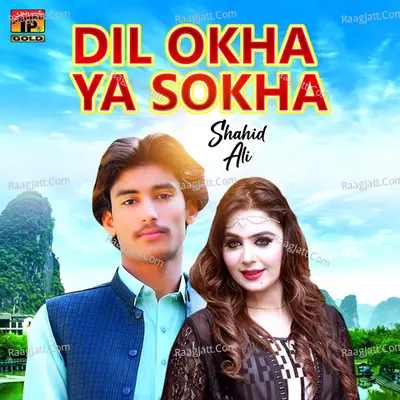 Dil Okha Ya Sokha - Single