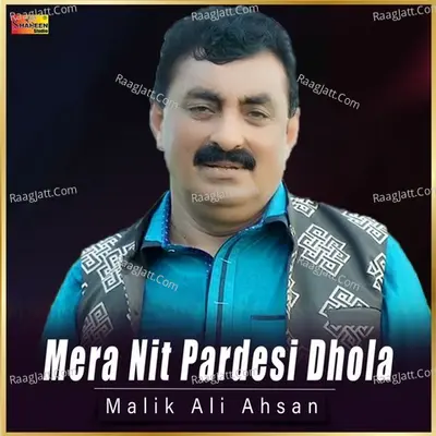 Mera Nit Pardesi Dhola Cover