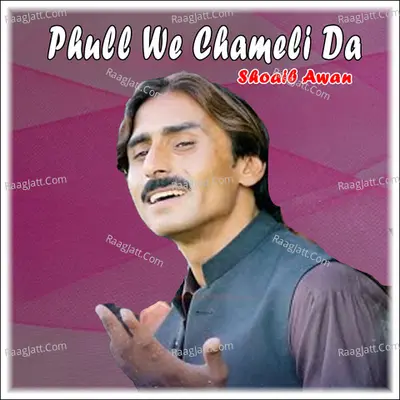 Phull We Chameli Da Cover