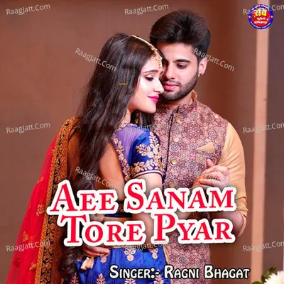 Aee Sanam Tore Pyar Cover