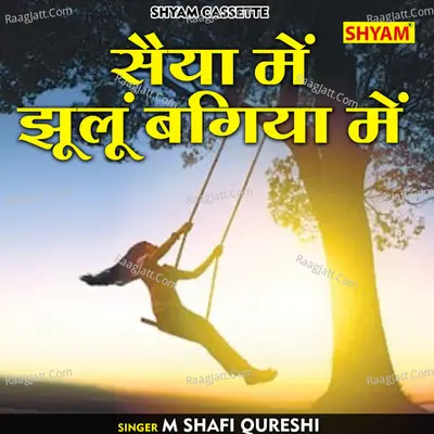 M Shafi Qureshi Image