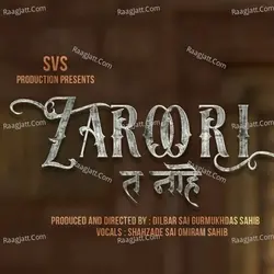 Zaroori Ta Naahe