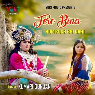 Tere Bina Hum Kuch Bhi Nahi Cover