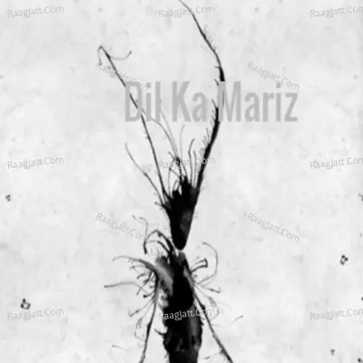 Dil Ka Mariz Cover