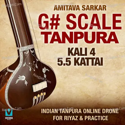 G# Scale Tanpura - Kali 4, 5.5 Kattai (Indian Tanpura Online Drone For Riyaz &amp; Practice)