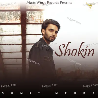 Shokin