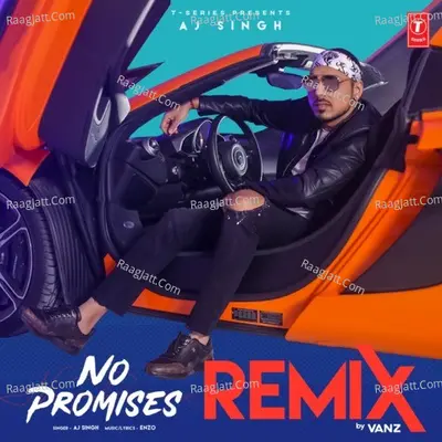 No Promises Remix Cover