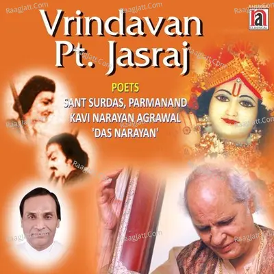 Vrindavan Poster