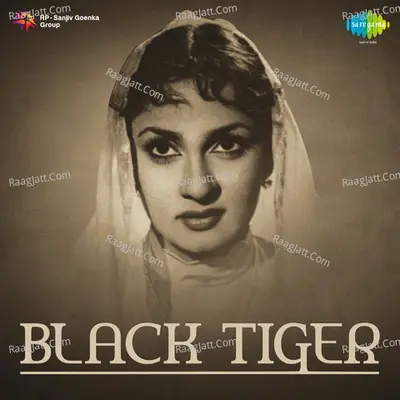 Black Tiger Poster