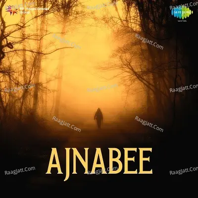 Ajnabee Poster