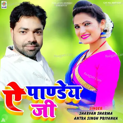 Ae Pandey Ji Cover