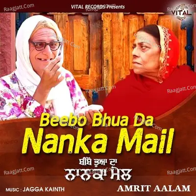 Beebo Bhua Da Nanka Mail Poster