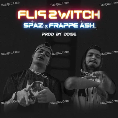Flipswitch Cover