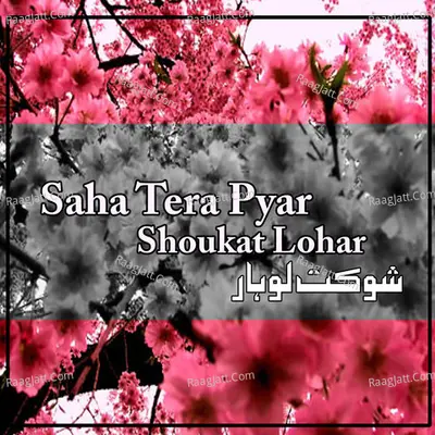 Saha Tera Pyar - Shoukat Lohar