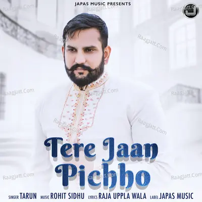 Tere Jaan Pichho Cover