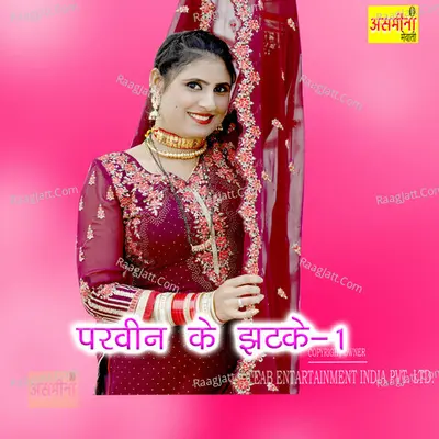 Parveen Ke Jhatke, Pt.1 Cover