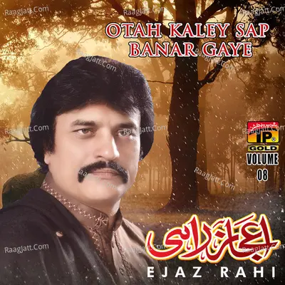 Otah Kaley Sap Banar Gaye, Vol. 8 - Ejaz Rahi