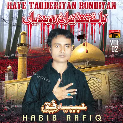 Haye Taqderiyan Rondiyan, Vol. 2 Poster
