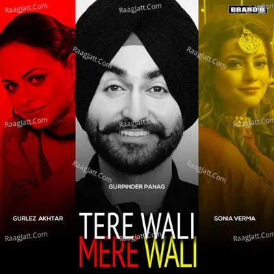 Tere Wali Mere Wali Cover